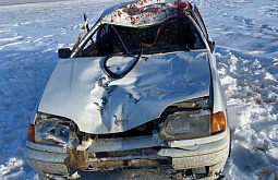 В Иркутской области водитель попал в реанимацию после ДТП с лошадью