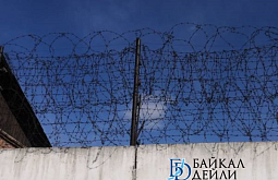 ��������������� �������������-���������� ������ �� �������