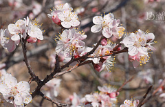 � ������ ������ ��������� �������� ����� ������������� ������ � ��� � ��������