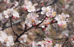 � ������ ������ ��������� �������� ����� ������������� ������ � ��� � ��������