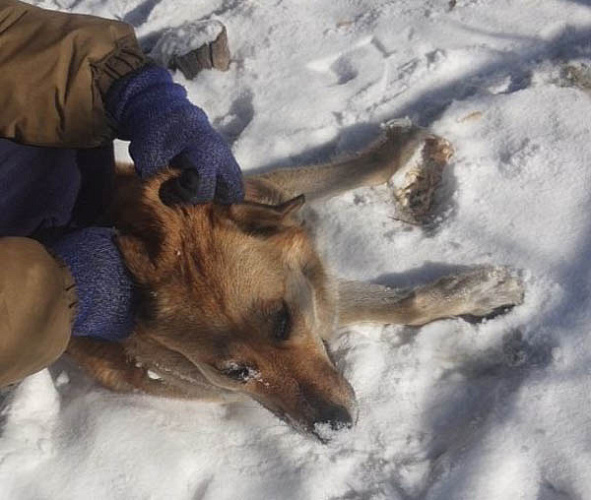 � ����������� ����-��� ������ ������������ ��������