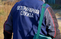 � ������ ������� ����� ��������� � ����� 60-������� ��������