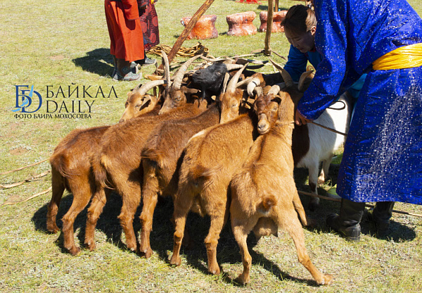 ��� �������� ������ ������������� �������� ��������