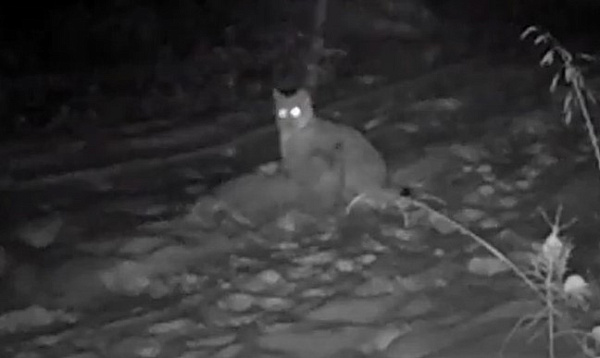 � �������������� �������� ����� �� ����� �������� �����