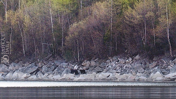 � ������� ��������� ��������