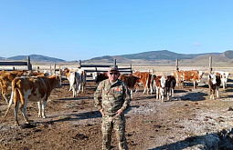 � ������� ������� ��� ���� ��������