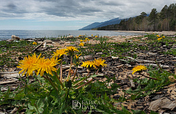 � ������� ���������� ��������� ���� �� ������������� �������� 