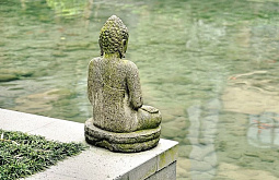 � �������� ��������� ����� ������� ���� � 868 ����� ��� ������� ����� 