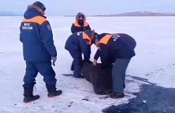 �� ������� ��� ������ �������, ������������ ��� �� �� ����