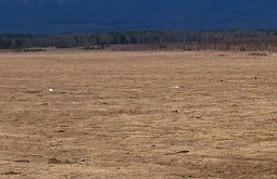 � ��������� ������� ����������� � ����������� 