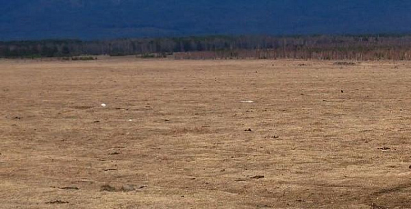 � ��������� ������� ����������� � ����������� 