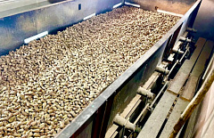 ������� ������� �������� 613 �� ����� �����