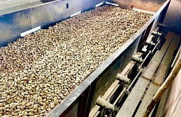 ������� ������� �������� 613 �� ����� �����