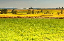 � ��������� ������ ������������� �������� ������� ������� ������