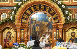 � ������� ���� ������ ������ ����������� ����������