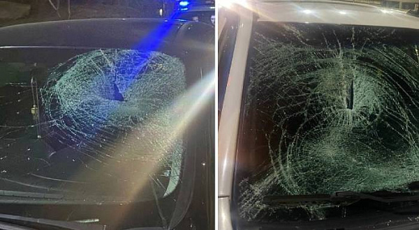 � ����-��� ����� 17-������� �������� � ������������������