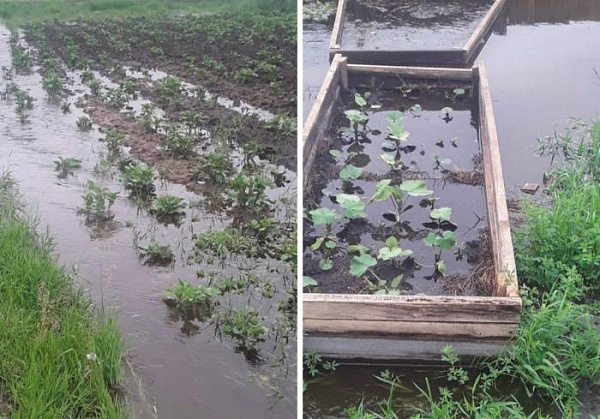 � ������� ����� �� ������� ���� ������� 