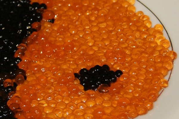 � ������� ���������� �� �������� �� ������� ���� 