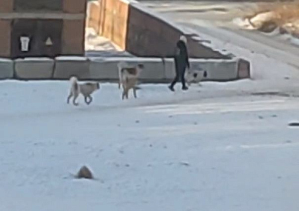 ������ ��������� � ������� ��������� ������������ ��-�� ������� �����