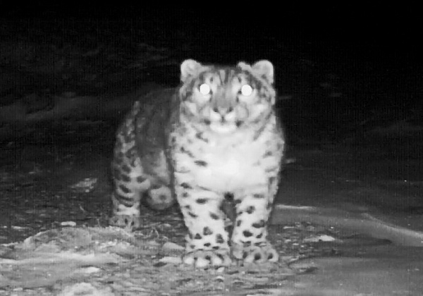 �����, ���������, �����: � ������� ���������� 8 ������� ������