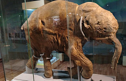 ��������� ���� ����������� � �������� �������