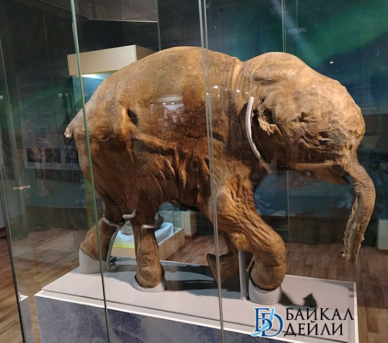 ��������� ���� ����������� � �������� �������