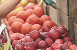 � ������� ����������� ����������� �� ������ 