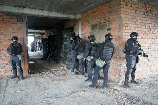 � ������� ������������ ���������� ������������� �����������