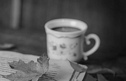 � ����-��� ������������ ����� �� ������� ������� 