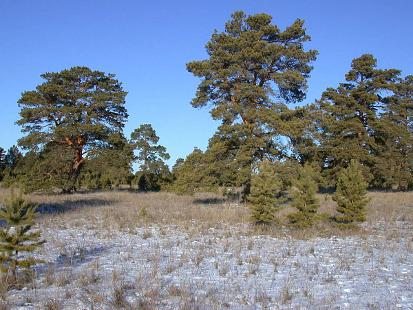 � ���������� �������� �������� ������-����������