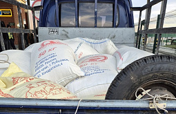 На границе в Бурятии задержали жительницу Монголии кое с чем подозрительным