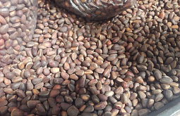 ����� ������� � ����� ������ ����� 390 ���� ����������� ��������� �����  