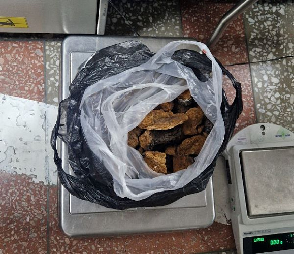 Из Бурятии не позволили вывезти в Монголию чагу и сухофрукты 