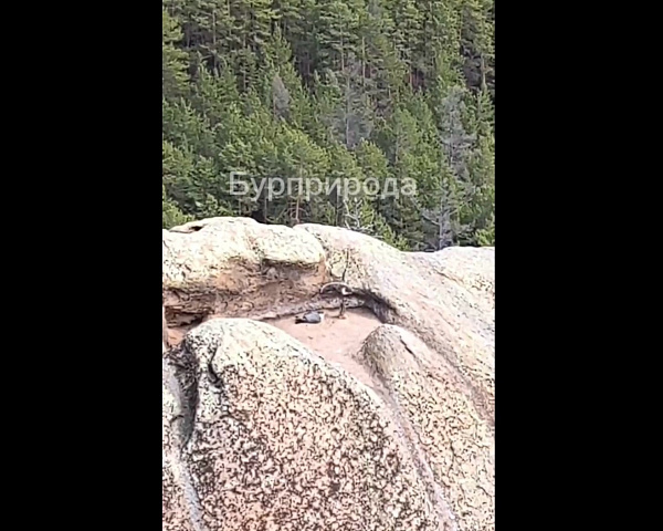 � ������� ������� �������������� ������� � ������ 