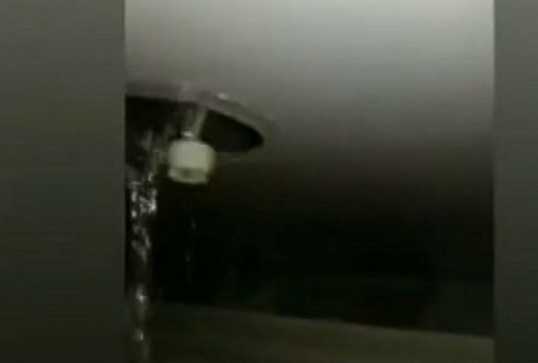 �������� � ���������: � ������� �������� ���������� 