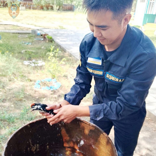 � ������� ����� ���� �� ������ � ����� � �����