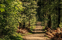 � ��������� ������� �� ����� �������� ��� � ��������� 