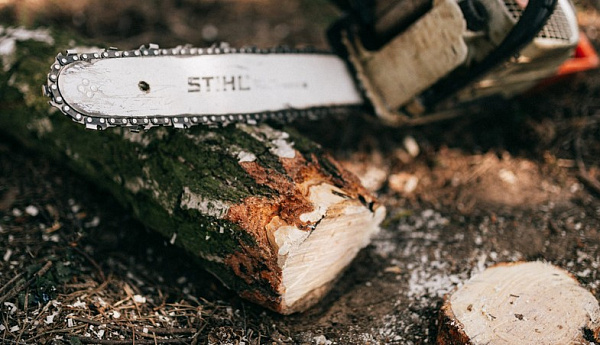 � ������� ���������� ������� �� ��������� ��������� ����������� 