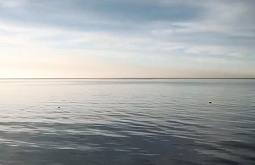 � ������� �������� ������������ ����� �� �������� �� �������