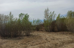 � ������� ��������� �������������� ������ �������������� 