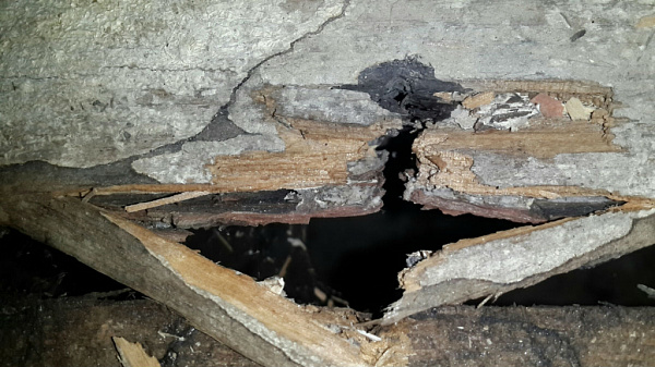 ���� ���������, ����� �������: ����� ����������� � ������� ��������� ����� � ���������