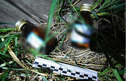 ������ ������� ���� ������� ����� ������������ ������� ��� ���