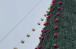 27-метровую ёлку в центре Улан-Удэ начали украшать шарами