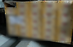 ���� ����-������� ������ ��� ��� �� ���������� ������ ������� �� �����������