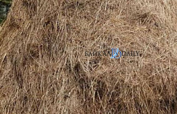 � ��������� ������� 6-������ ������� ������ ������������ � 12 ������� ���� 