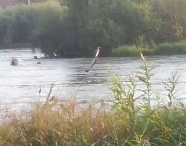 ���� �� � ��� �����?�: ����-������� ������ ������ � ������ 