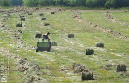 � ������� 20 ��� �������� �� ����� ��� ��������� ��������� 