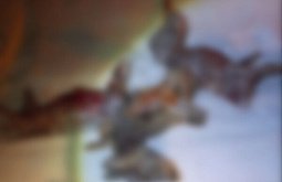 � ��������� ������� ��������� ��������� ���� ������