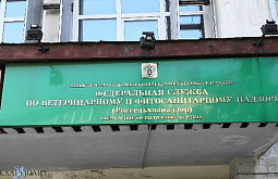 � ������ ���� � ����-��� ���������������� ��������� ����� 300 ���� ���������