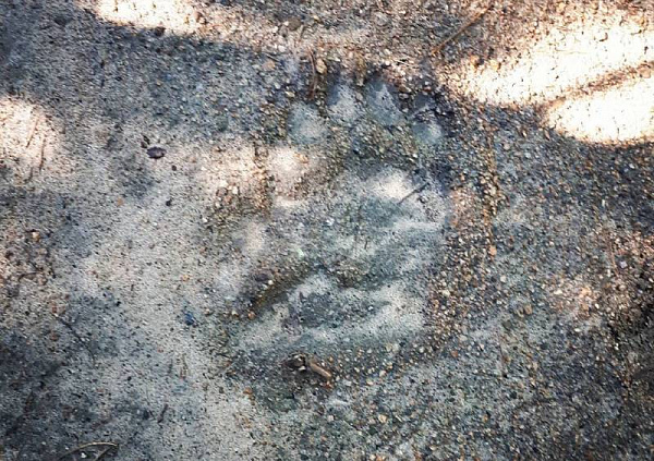 � ������������ ����-��� ����� �������� ����� �������� 